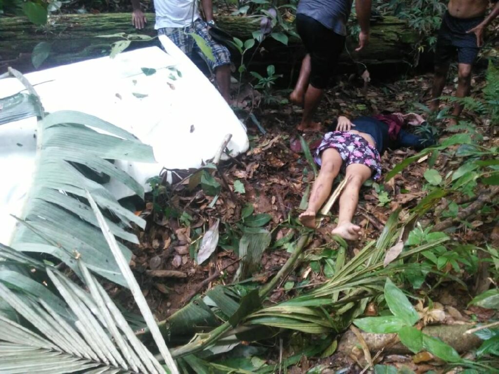 Avião de pequeno porte cai no interior do Amazonas