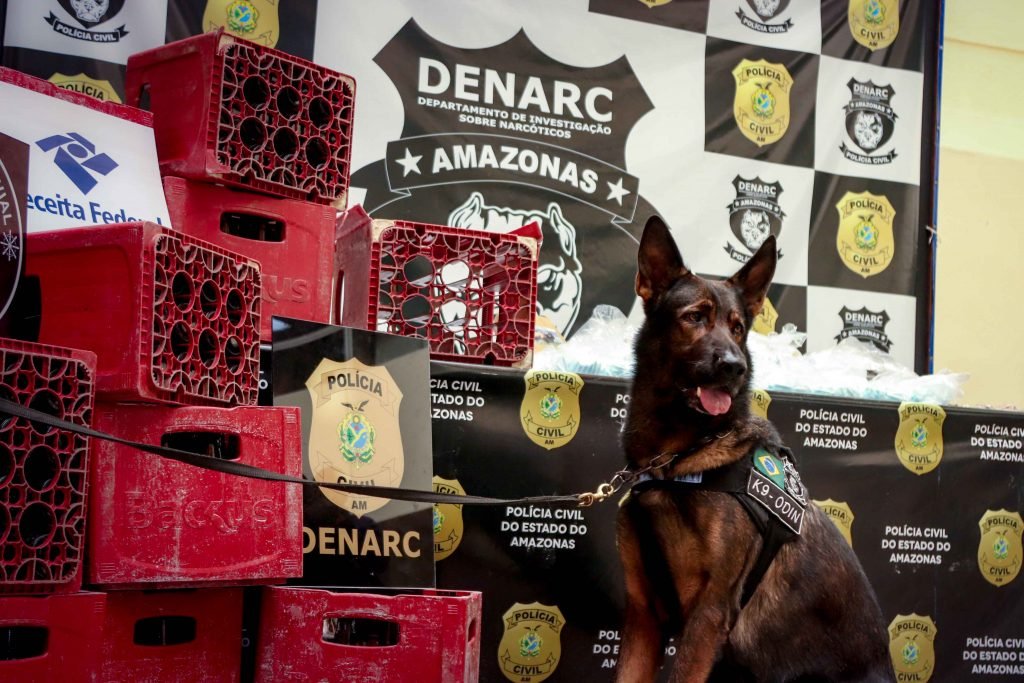 Denarc apreende R$ 400 mil em drogas