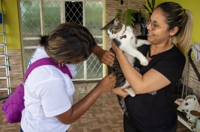 Foto: Divulgação