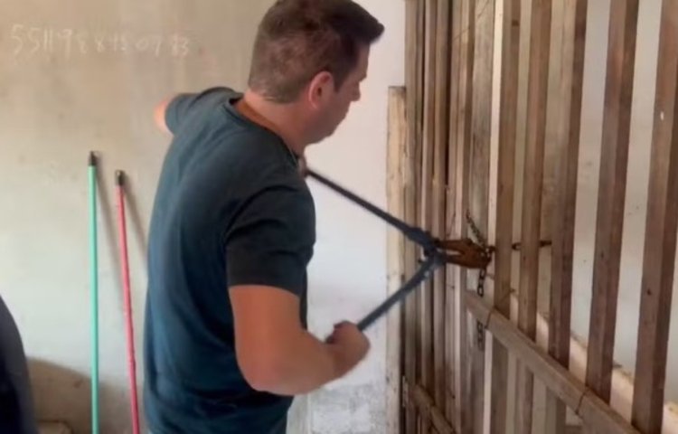 Foto: Divulgação