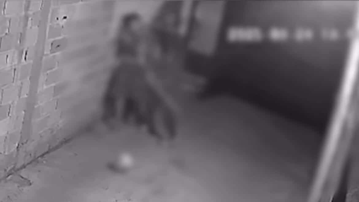 Madrasta é filmada espancando enteado de 11 anos em Caldas Novas