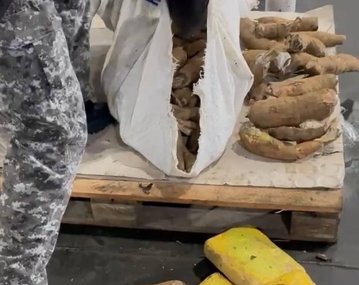 Mulher é presa com 13 kg de skunk escondidos em sacos de macaxeira