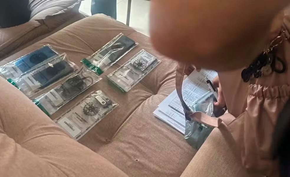 material pornográfico