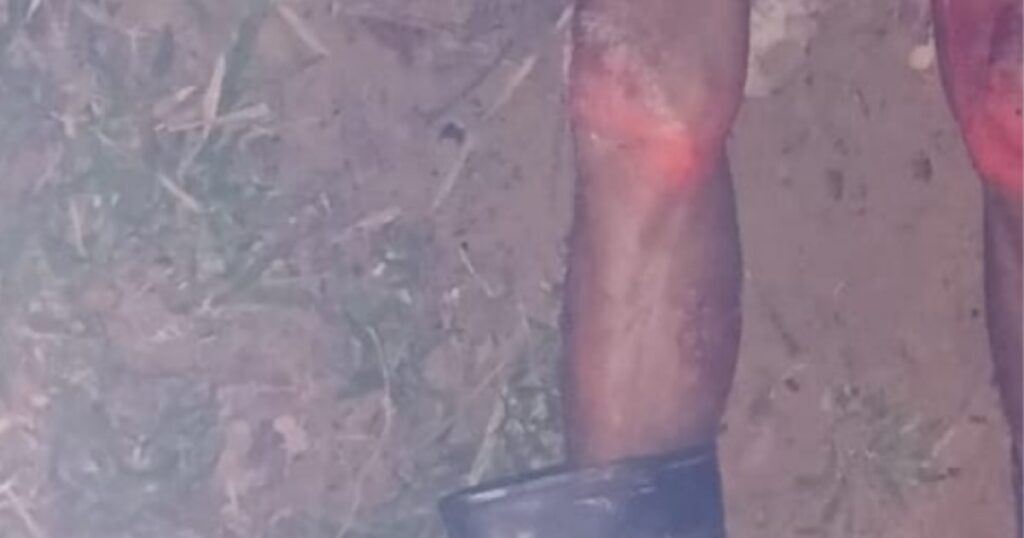 Polícia apura morte de idoso encontrado com marcas de mordidas em flutuante de Manaus