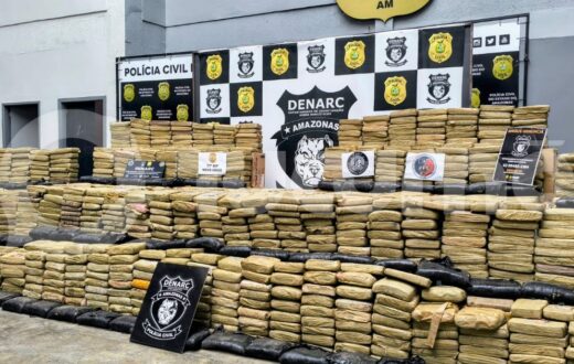 Operação localiza skunk escondido em quatro pontos de sítio em Novo Airão