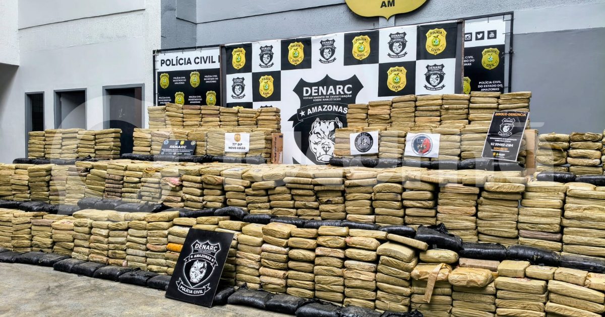 Operação localiza skunk escondido em quatro pontos de sítio em Novo Airão