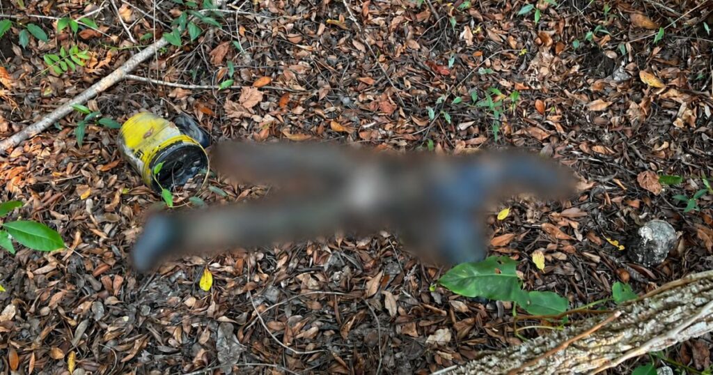 Identidade e causa da morte ainda não foram esclarecidas após corpo ser achado em mata na Ponta Negra