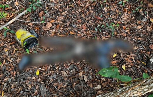 Identidade e causa da morte ainda não foram esclarecidas após corpo ser achado em mata na Ponta Negra
