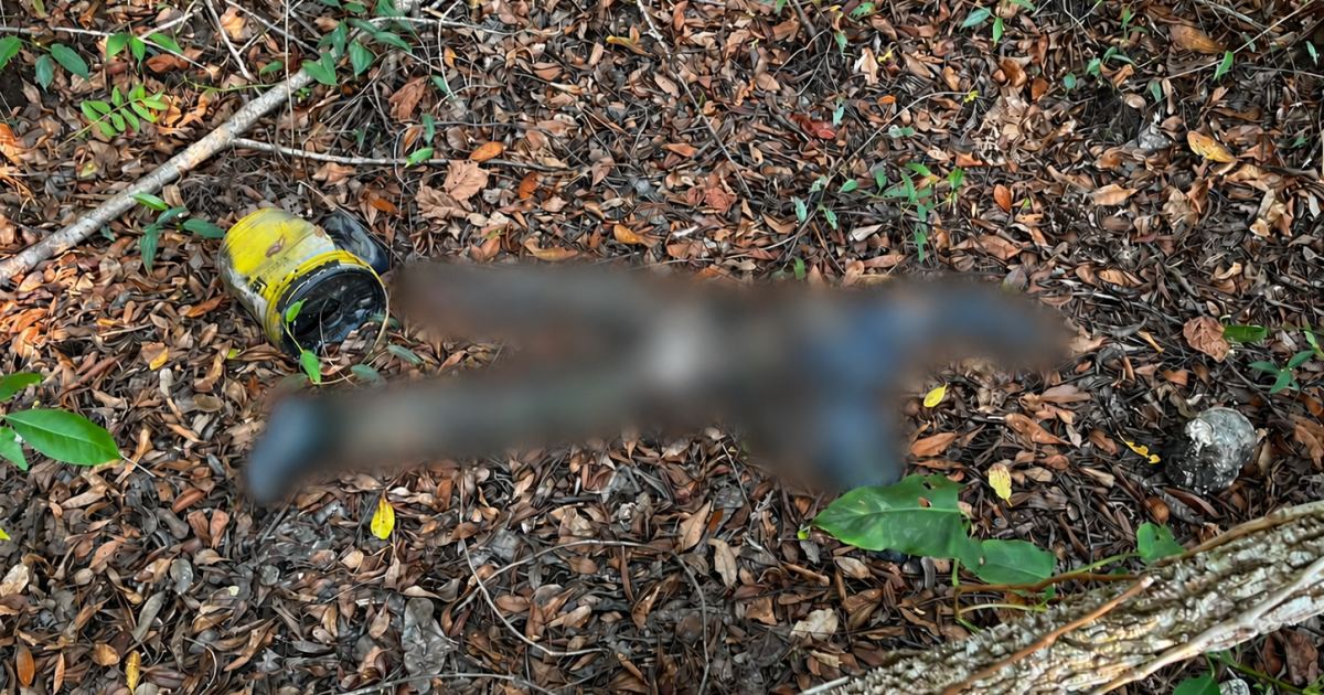 Identidade e causa da morte ainda não foram esclarecidas após corpo ser achado em mata na Ponta Negra